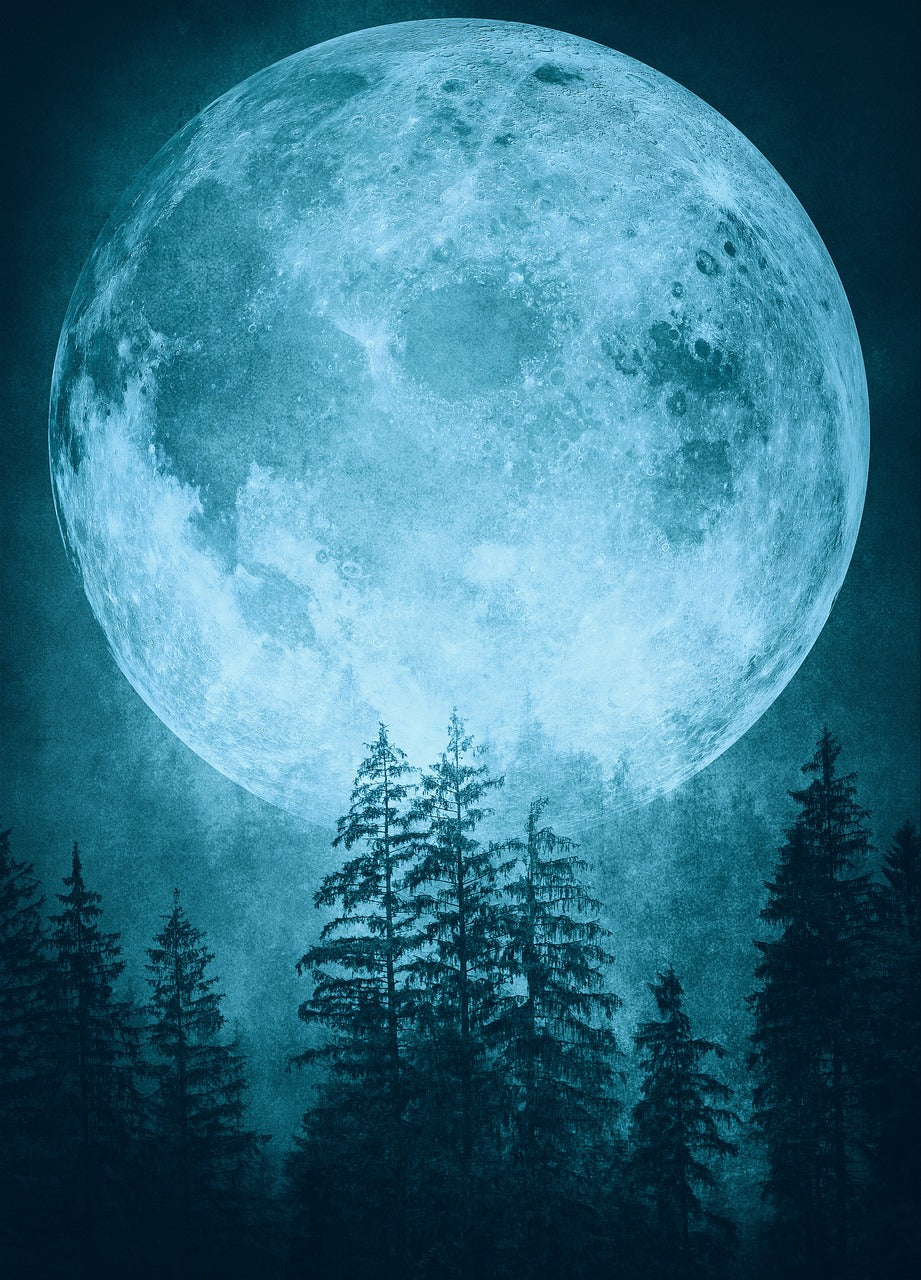 Dramatic Background Music: Secret in The Woods - Creepy - Orchestra - Royalty Free