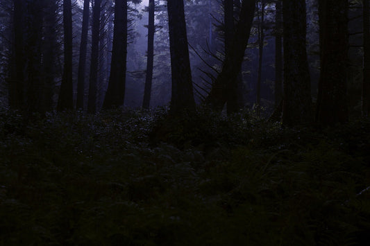 Creepy Background Music: Track 9 - Creepy - Eerie - Royalty Free